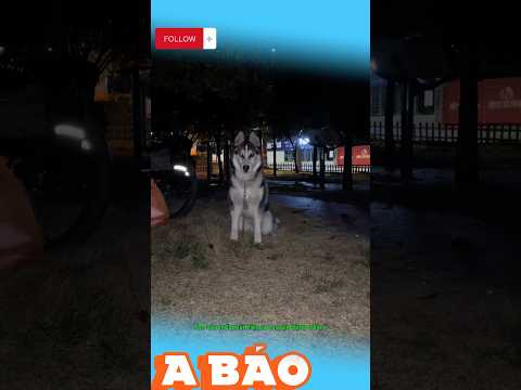 Mày còn nhiều cái tao không muốn nói nha sen #xuhuongtiktok #haihuoc #vuichoicungcon #shortvideo