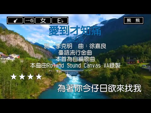 愛到才知痛-黃乙玲(Karaoke伴奏)