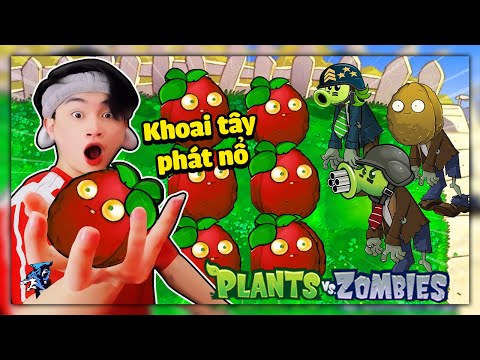 Siro Kết Hợp Khoai Tây Nổ Siêu Phòng Thủ Trong Plant Vs Zombie #1