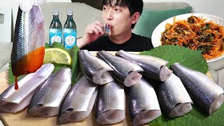 드디어 여름전어가 나왔다!! 통전어 전어회 전어회무침 혼술먹방 Raw gizzard shad MUKBANG ASMR EATINGSHOW