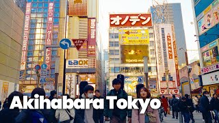Akihabara Electric Town Walk: Futuristic Neon Lights & Retro Arcades 4K HDR