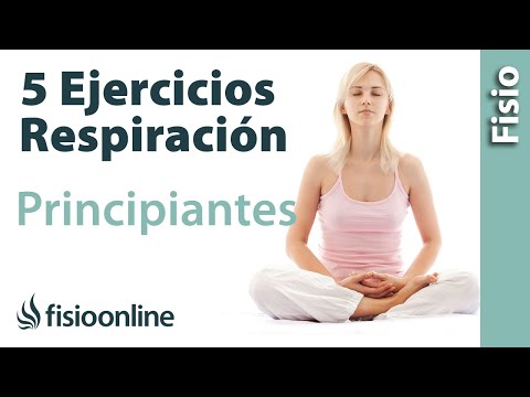 5 Ejercicios fáciles de Respiración | GUIA PARA PRINCIPIANTES