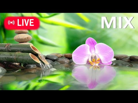 🔴 Relaxing Music 24/7, Stress Relief Music, Sleep Music, Meditation Music, Calming Music, Waterfall