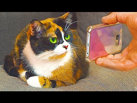 6 LifeHacks die dein Leben vereinfachen.
