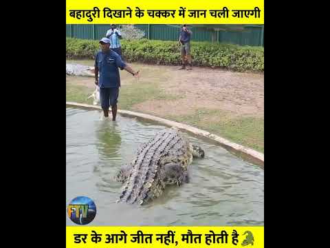 बहादुरी दिखाने के चक्कर में जान जाते-जाते बची😱 #shorts #amazingvideo #thefactztv