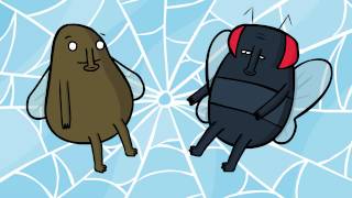 Web of Flies