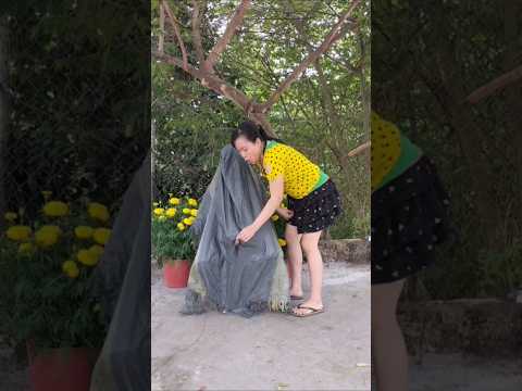 so cute 🥰🥰🥰