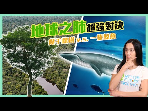 【冷知識】幾千棵樹VS一條鯨魚，誰的減碳能力更強? ｜Greenvoice 綠之心EP8 ｜綠色和平台灣 - YouTube(5分11秒)