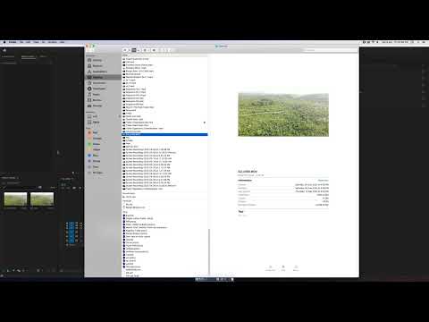 Besic Colour Correction Tutorial In Adobe premiere Pro for beginners