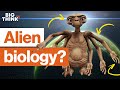 Exploring Alien Life and Evolution