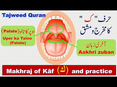 Kaf letter Arabic | How to pronounce letter Kaf (ك) in Arabic | Learn Tajweed for beginners