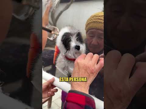 Esta forma de tejer es alucinante 🤩✨