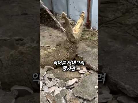 반전의 반전 ㄷㄷ