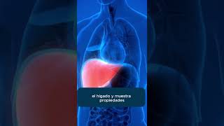 Beneficios del agua de clavo dulce