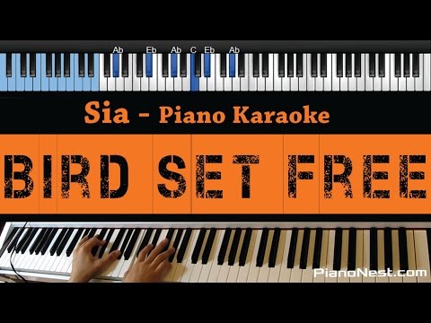 Sia – Bird Set Free – LOWER Key (Piano Karaoke / Sing Along)