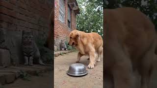 wait and watch!!!