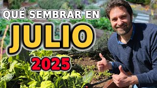 Calendario de Siembra 2025: Que sembrar en JULIO en el Huerto de Verano y de Invierno