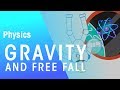 Exploring Gravity and Free Fall Dynamics