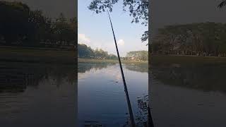 Ikan segini sudah bikin heboh #fishing #mancingnilaliar