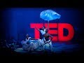 Understanding Alvin Ailey's Legacy
