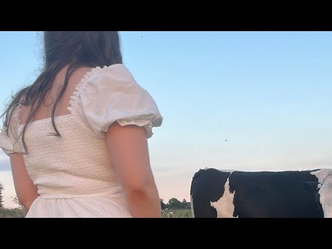 In a field with Cows