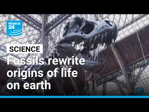 YouTube video thumbnail: How we Came to be: Fossils Rewrite Origins of Life on Earth