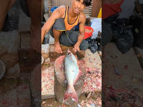 Unique! Aesthetic Big Pangas Fish Cutting Skills In Expert Cutter 🫢🫢 #shorts