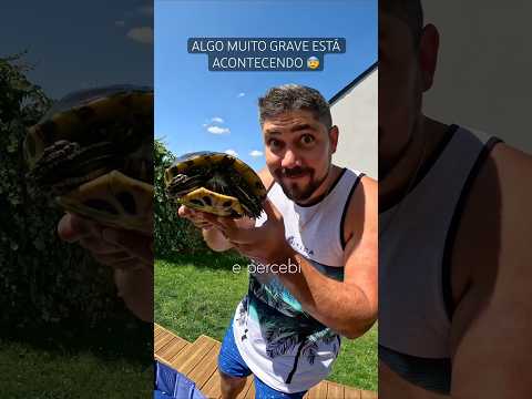 Fui soltar a nossa tartaruga no lago e percebi que algo muito grave está acontecendo com ela.