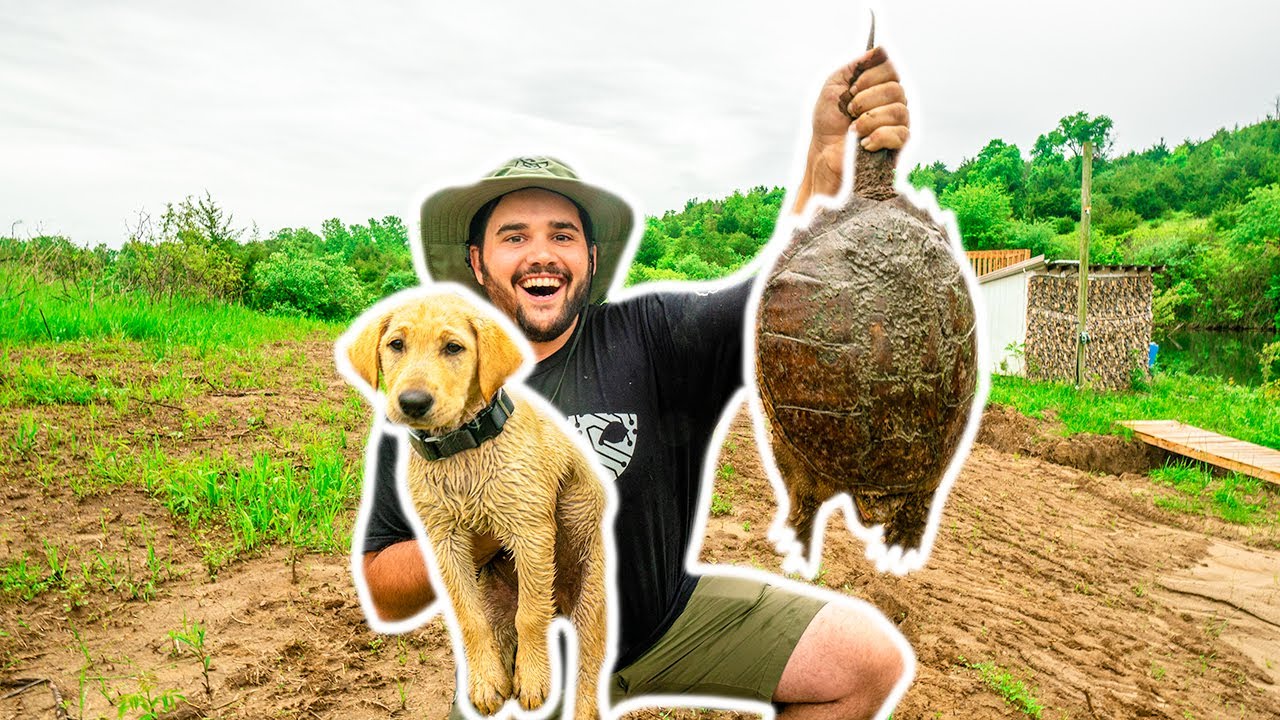 RESCUING My NEW PUPPY from an ANGRY SNAPPING TURTLE in My BACKYARD!