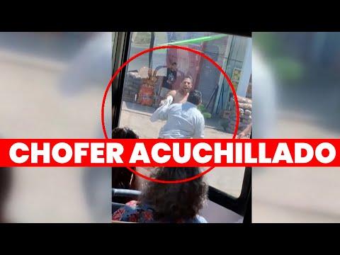 UN CHOFER ACUCHILLADO POR UN PASAJERO: NO TENÍA SALDO EN LA SUBE Y LO ATACÓ