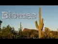 Ecosystems and Biomes Overview