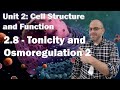 Water Potential and Solute Concentration