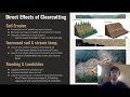 Environmental Impact of Deforestation