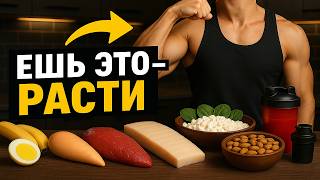 10 ЛУЧШИХ ПРОДУКТОВ ДЛЯ РОСТА МЫШЦ!