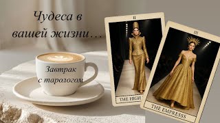 ЗАВТРАК С ТАРОЛОГОМ ☕️ Высшие Силы передают Вам 🕊️ ЧУДЕСА на пороге Вашей жизни 💫✨