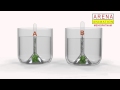 Photosynthesis and Gas Evolution