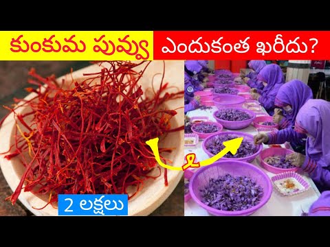 ప్రపంచంలోనే అత్యంత ఖరీదైన కారు 2022💸🚗 Top 3  Facts In Telugu | Discover Telugu Facts