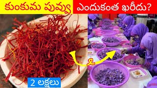 ప్రపంచంలోనే అత్యంత ఖరీదైన కారు 2022💸🚗 Top 3  Facts In Telugu | Discover Telugu Facts