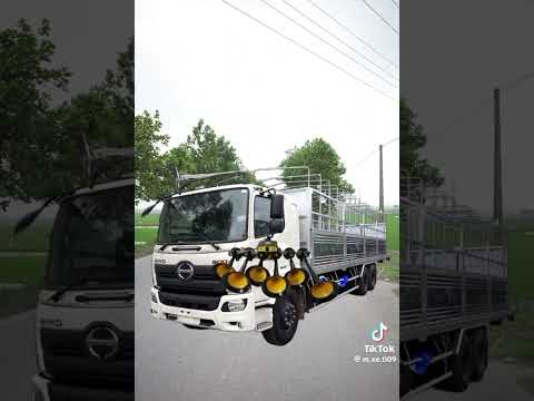 Top những loại kèn mà ae xe tải hay dùng để đi báo🤣| còn những loại kèn gì ae comment xuống dưới 🥰🇻🇳