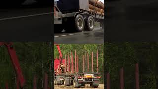 Final Destination LIED!