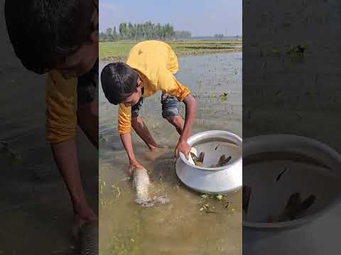 Amazing Hand Fishing 2024 #shorts
