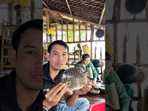 Cho Nổ Nè #kaniteo #xuhuongyoutube #mientay #amthuc #giadinh #giaitri  #shorts