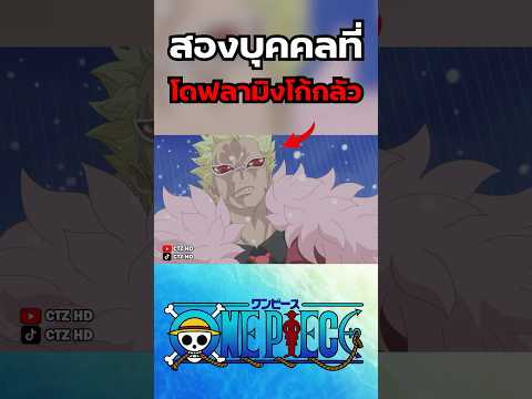 2 บุคคลที่โดฟลามิงโก้กลัว #onepiece #ลูฟี่ #วันพีช