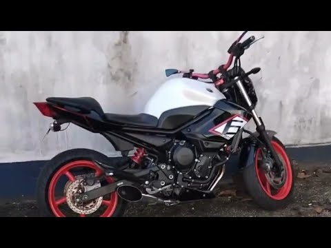 ROLÊ ALEATÓRIO DE XJ6 4P Centro 💥