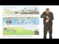 Characters' Journey Through Nature