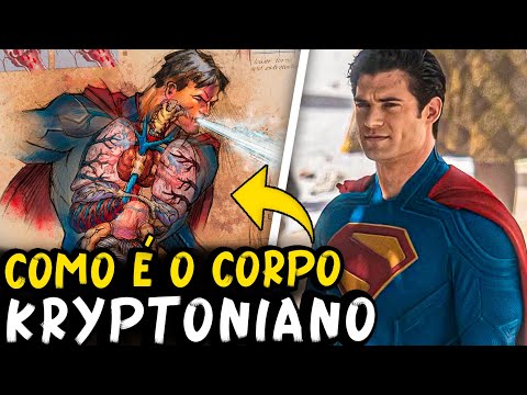 ANATOMIA DO SUPERMAN - A Fisica dos Poderes Explicada / Como Ele é por dentro?