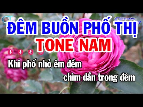 Karaoke Đêm Buồn Phố Thị Tone Nam ( Dm ) Nhạc Sống Trữ Tình Hay Nhất | Karaoke Đồng Sen