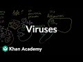 Understanding Viruses