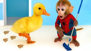 Bon Bon Si Monyet Kecil dan Bebek Membersihkan Rumah & Makan Es Krim Enak! 🍦🐵🦆