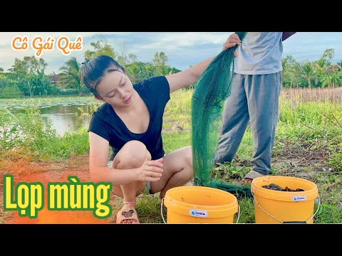 Cô Gái Quê ✅ Sáng Dậy Sớm Ra Ao Sen Thăm Lọp Mùng